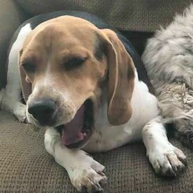 Fundraising Page: Maggie McKnight